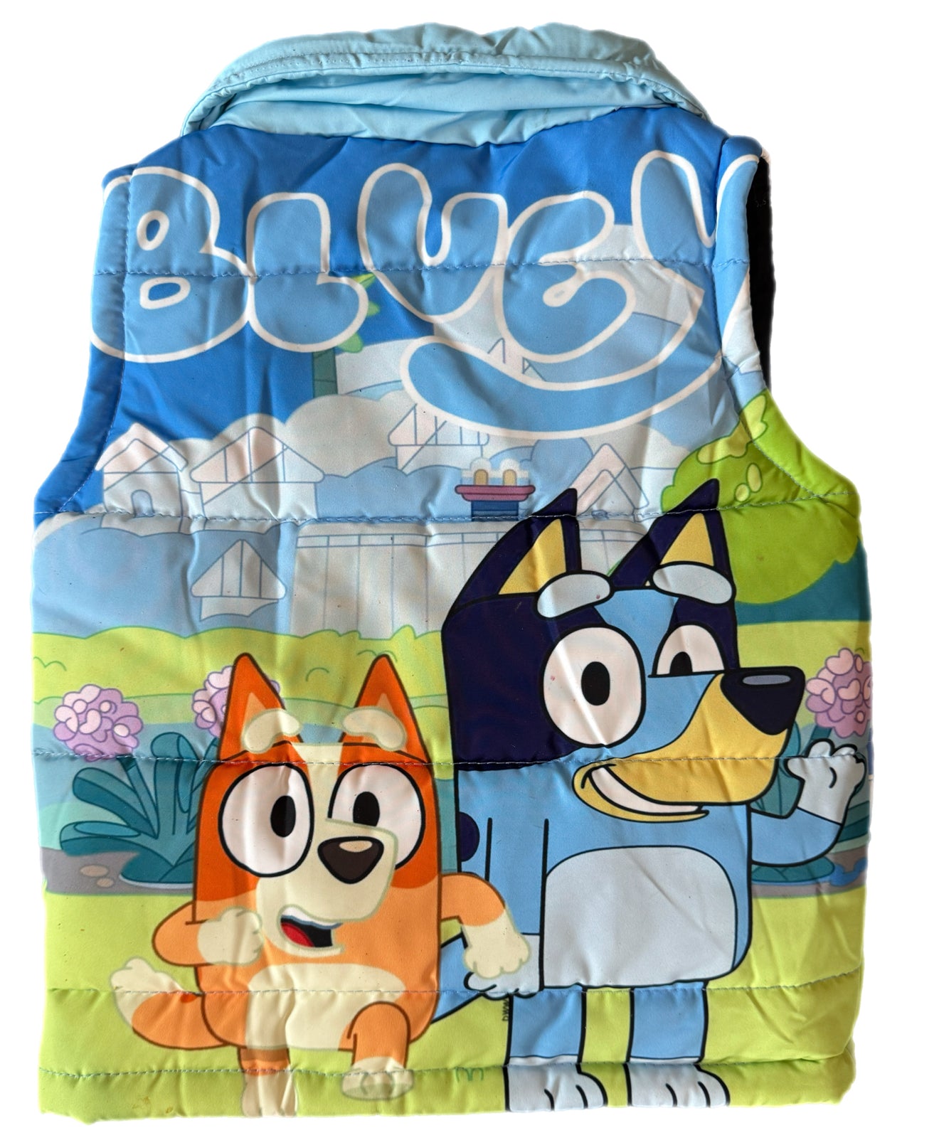 Sale Kids Bluey Vest