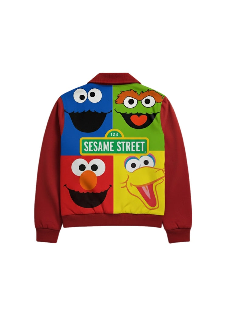 Kids Sesame street colorblock Jacket